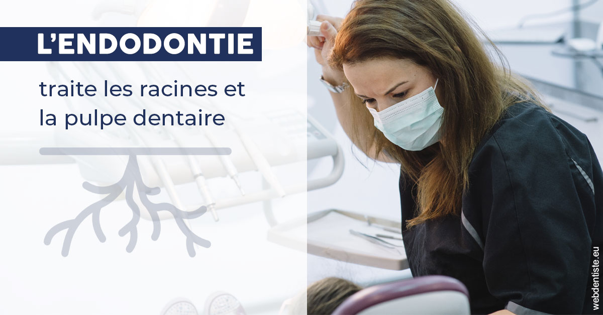 https://dr-andre-boquet-corinne-marie.chirurgiens-dentistes.fr/L'endodontie 1
