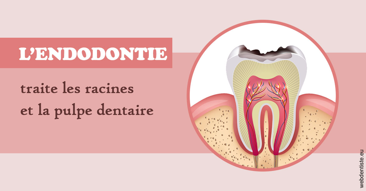 https://dr-andre-boquet-corinne-marie.chirurgiens-dentistes.fr/L'endodontie 2