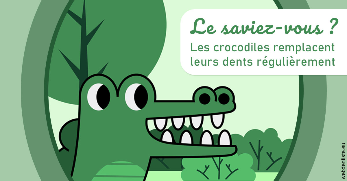 https://dr-andre-boquet-corinne-marie.chirurgiens-dentistes.fr/Crocodiles 2