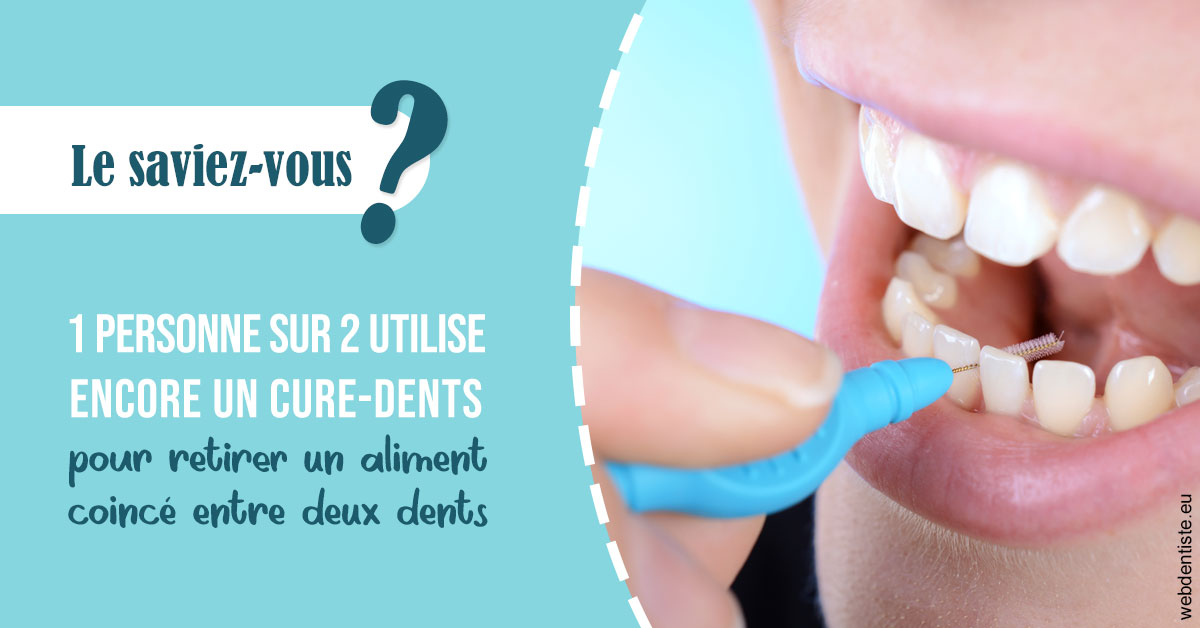 https://dr-andre-boquet-corinne-marie.chirurgiens-dentistes.fr/Cure-dents 1
