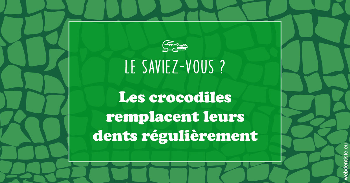 https://dr-andre-boquet-corinne-marie.chirurgiens-dentistes.fr/Crocodiles 1